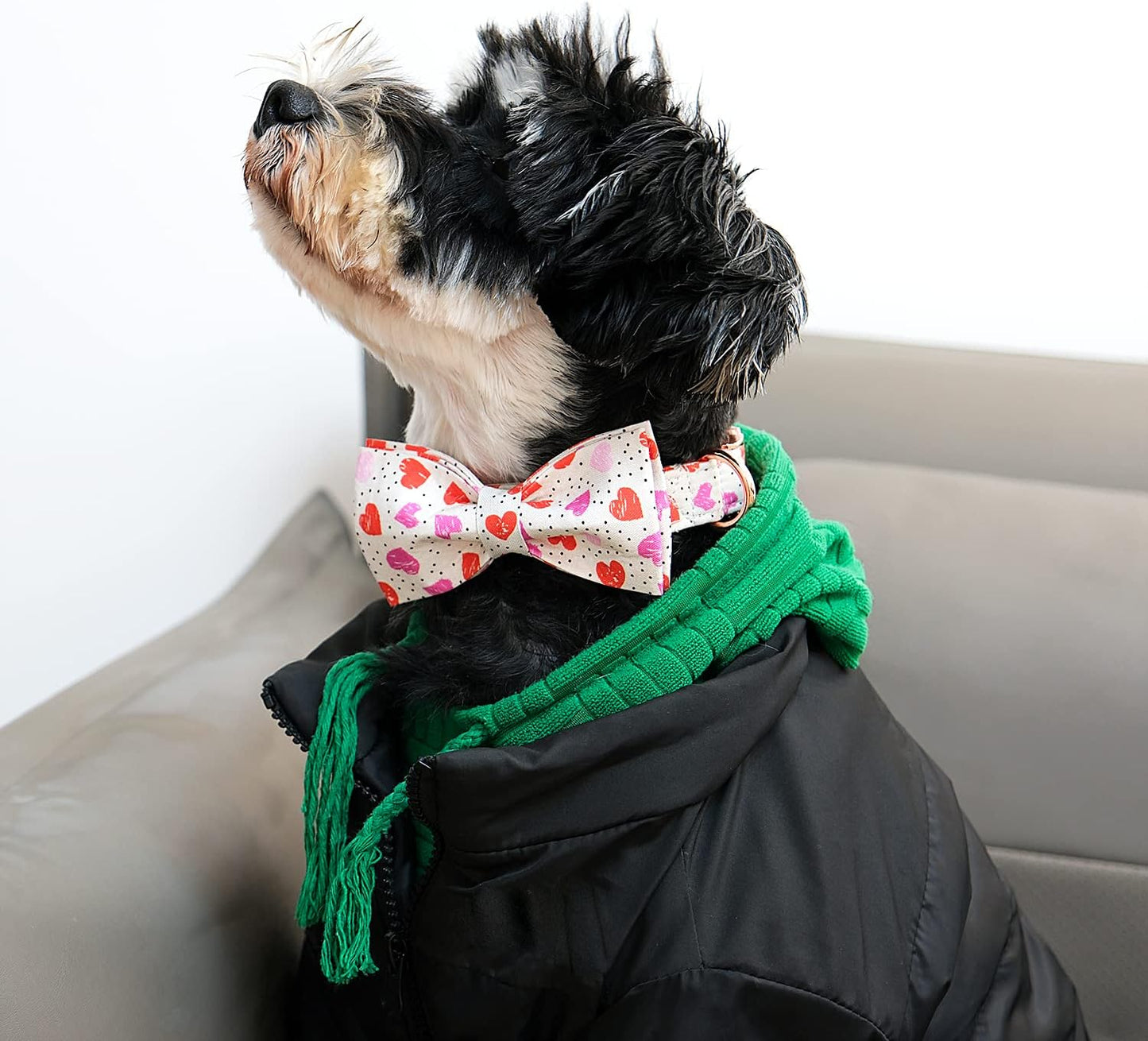 Lionet Paws Valentines Day Dog Collar with Bowtie, Dog Bowtie Collar with Metal Buckle for Dogs, Adjustable Comfortable Dog Collar Girl Boy Gift, XL, Neck 16-26 in