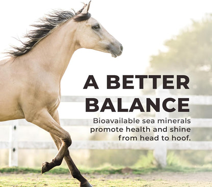 Redmond Daily Red | Horse Vitamins and Minerals Supplement - 25 LB Bag