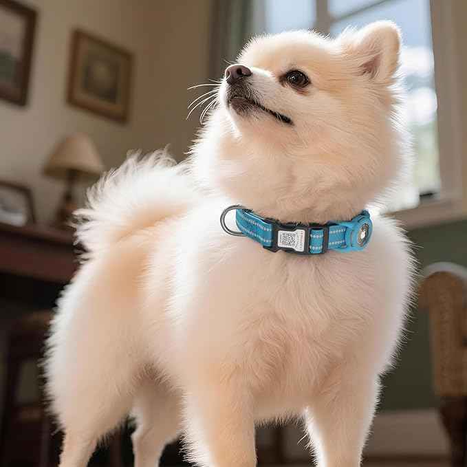Airtag Dog Collar with QR Code, Reflective Dog Collar with Airtag Holder, Soft Padded & Safety Locking Buckle Adjustable Puppy Collar