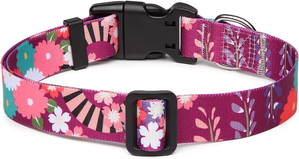 Mercano Adjustable Dog Collar - Special Design Patterns, Soft Nylon Comfortable Durable Pet Collar for Small Medium Large Dogs (L, Colorful Flower)