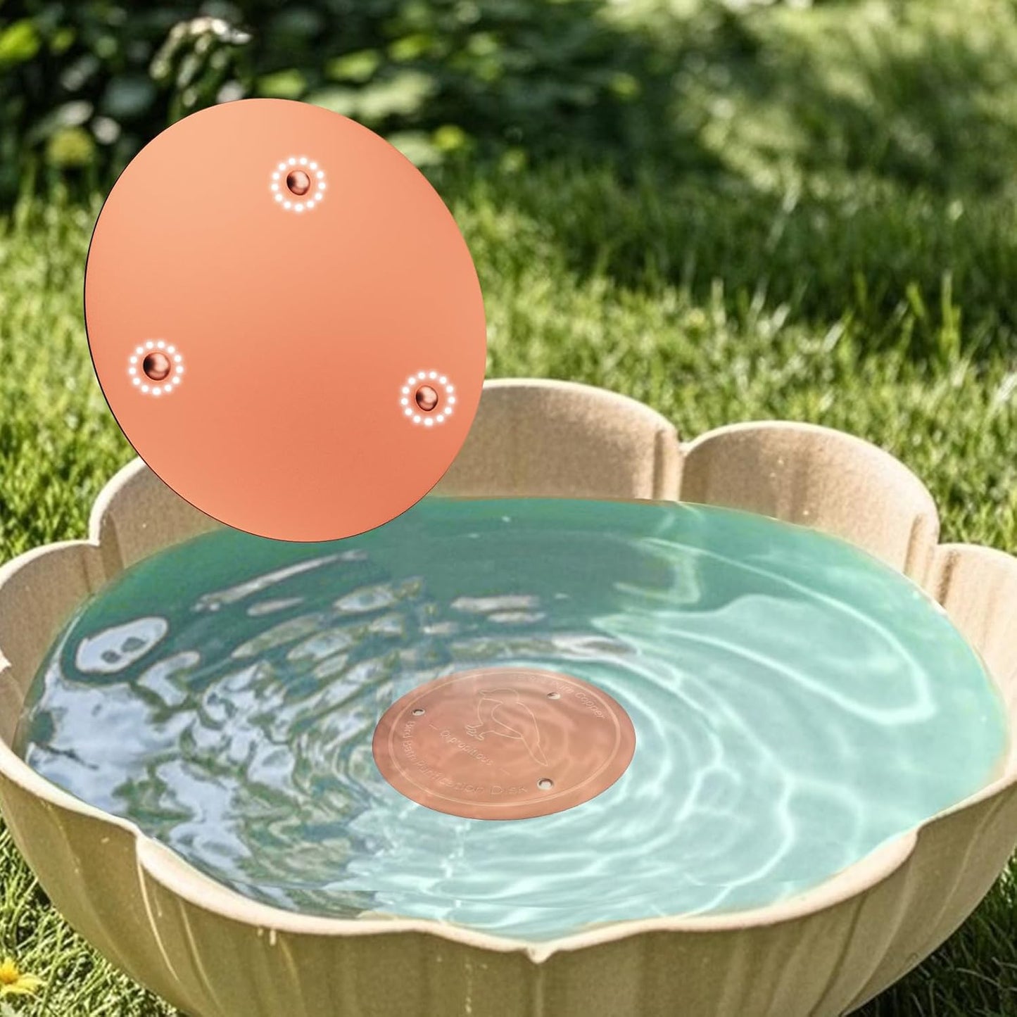 Bird Bath Copper Disk – 99.99% Pure Copper Water Cleaner, 1 mm Thick with Stable Triple-Point Support, Safe Natural Solution for Outdoor Birdbaths Bowls, All-Season Use,Bird,1pcs