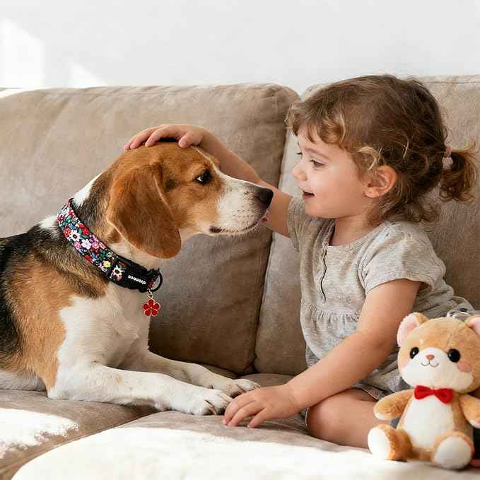 DOGWONG Floral Dog Collar- Cute Spring Wildflowers Dog Collars with Plastic Buckle, Light Adjustable Girl Female Dog Collars for Small Medium Dogs,M