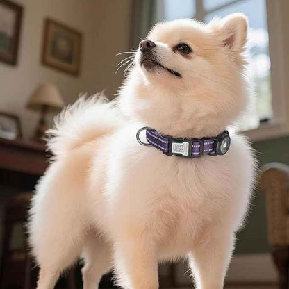 Dog Collar with QR Code, Reflective Dog Collar, Soft Neoprene Padded & Safety Locking Buckle Adjustable Pet Collar (Purple, L-with Airtag Holder)