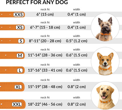 CollarDirect Rolled Leather Dog Collar, Soft Padded Round Puppy Collar, Handmade Genuine Leather Collar Dog Small Large Cat Collars 13 Colors (15-19 Inch, Orange Smooth)
