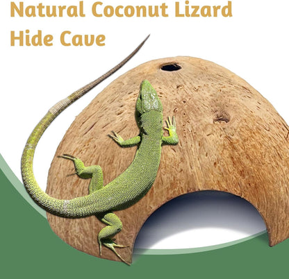 PINVNBY 6 PCS Natural Coconut Reptile Hideouts Lizard, Coco Hut Hermit Crab Hut Aquarium Fish Hide Cave for Small Reptile Crested Gecko Leopard Gecko Spider Snail Climber Toys