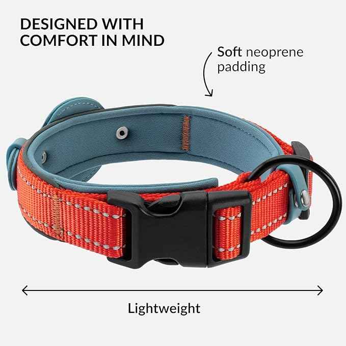 CollarDirect Airtag Dog Collar Reflective Nylon Neoprene Leather Holder for Apple Air Tag for Large, Medium, and Small Dogs (Pink, M, 13.5-16.5 Inch)