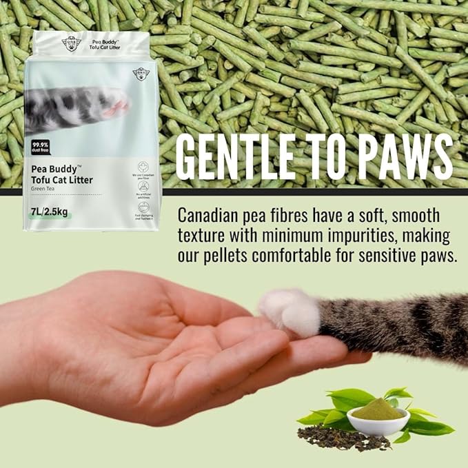 Pea Based Cat Litter, Dust Free Cat Litter, Low Tracking, and Natural Odor Control, Scented and Unscented (4 Pack (1 Case), Green Tea)