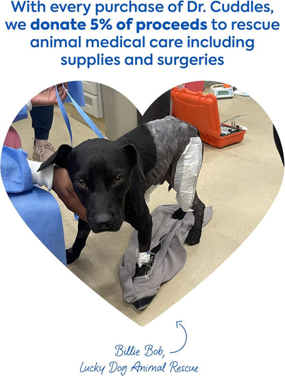 Foaming Dog Dry Shampoo, Travel Size Waterless Dog Shampoo No Rinse, Waterless Cat Shampoo, Natural Botanicals & Deodorant for Dogs & Cats, Vet Formulated, Cleans & Conditions, Summer Pawty Pack of 6