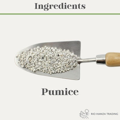Horticultural Bonsai Pumice Soil Amendment (2 LB), Supplement for Bonsai and Cactus Indoor Plants