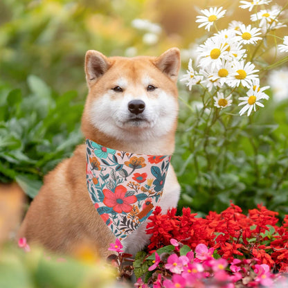 PTDECOR Flower Dog Bandana,2 Pcs Floral Reversible Dog Scarf, Multi Size, Triangle Pet Bandanas for Medium Large Dogs (Flower, Large)