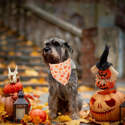 PTDECOR Halloween Dog Bandana, Ghost Pumpkin Design Reversible Holiday Dog Scarf, Triangle Halloween Bandanas for Small Dogs Puppies Cats(Small)