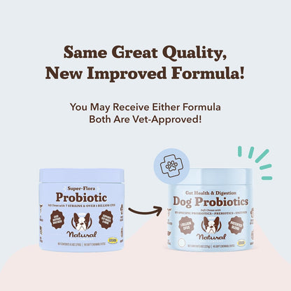 Natural Dog Company Gut Health & Canine Specific Probiotics Chews, 1 Daily Chew for All Dogs, Prebiotics & Digestive Enzymes for Digestion, Gas, Loose Stool, Immune System & Bowel Support