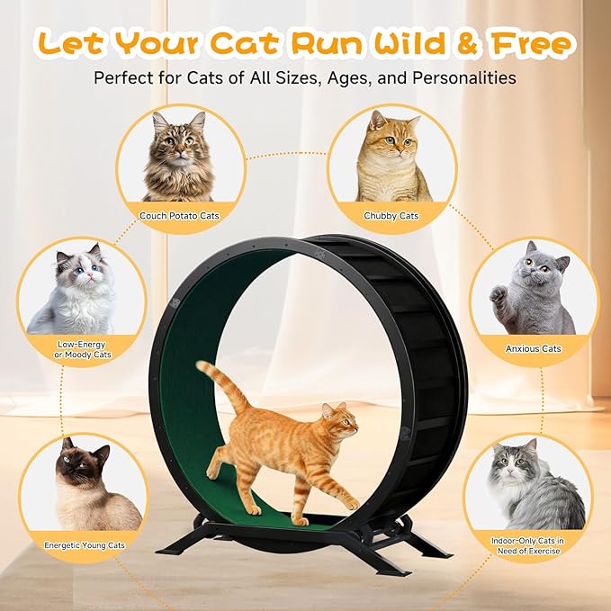 GTPLAYER Cat Wheels, Large Cat Exercise Wheel for Indoor Cats, 40"Diameter cat treadmill Detachable Carpet & Teaser, stickers, Ultra-quiet scroll wheel With latch, Suitable for Most Cats, Metal, Green