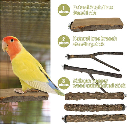 Bird Toys, Natural Parrot Toys for Small Macaws, Budgies, Lovebirds, Finches, Small and Medium Sized Birds Peppercorn Wood Apple Tree Perch Wood Set