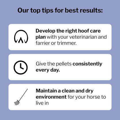 Formula 707 Hoof Health Equine Supplement, Daily Fresh Packs, 56 Day Supply - Biotin, Amino Acids, and Minerals to Improve and Support Healthy Horse Hooves