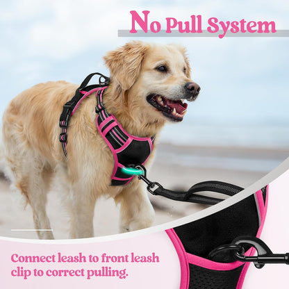 rabbitgoo Dog Harness No Pull with 2 Leash Clips, Adjustable Soft Padded, Reflective Oxford No Choke Pet Vest with Easy Control Handle for Large Dogs, Black & Hot Pink, M
