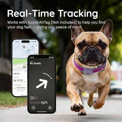 Reflective Dog Collar with Waterproof Air tagholder & Anti-Lost QR Code | Ultra-Durable | Soft Padded | Safety Locking Buckle | Fit Large Dogs (Purple L(15.7"-23.6"))