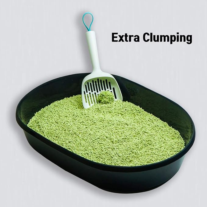 I AM TOFU - Tofu Cat Litter, Natural Flushable Extra Clumping Pellet Litter, 10LB x 3 (Green Tea 2 & Charcoal 1)