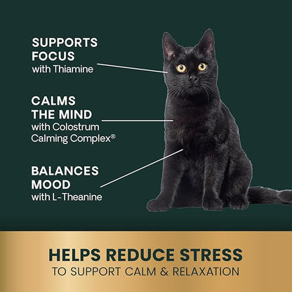 VetriScience Calm & Confident Liquid, Composure Calming and Anxiety Supplement for Dogs and Cats, Reduce Stress and Fear, Ideal for Thunderstorms, Fireworks, Vet & Routine Changes, Unflavored, 8 oz