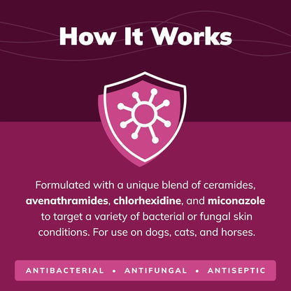CeraSoothe® CHX+MC Antiseptic Shampoo 16oz