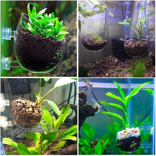 capetsma 2X Crystal Glass Aquatic Plant Pot, Planter, Red Shrimp Live Plants Fish Tank Holder with 4X Suction Cups for Aquarium Aquascape Decorationโฆ