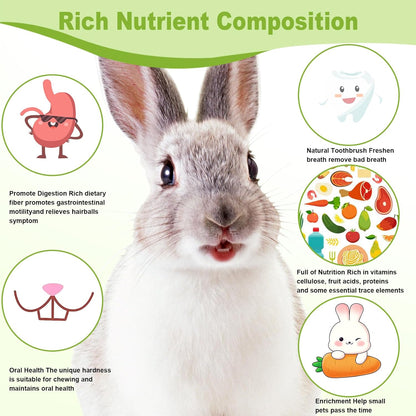 100PCS Timothy Hay Sticks for Rabbits Guinea Pigs Chinchillas Chew Treats, Natural Timothy Grass Molar Teeth Stick Bunny Chew Toys for Rabbits Chinchillas Guinea Pigs Hamsters Rodents