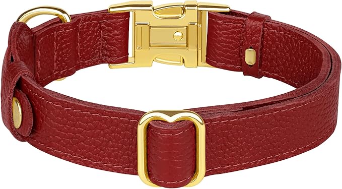 Leather Airtag Dog Collar - Soft Tracking Dog Collar with Apple AirTag Holder and Metal Buckle - Safety GPS Pet Collars for Small Medium Large Dogs Puppy Pink Red (Red, L, 17"-21" Neck Fit)