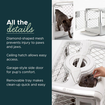 DIGGS Revol Collapsible Dog Crate with Wheels - Premium Portable Dog Crate - Safe, Stylish, and Convenient Indoor Kennel (Ash, Small)