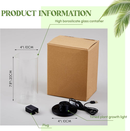 Maxdot Glass Plant Terrarium Kit with Light for Succulent, Moss, Miniature Gardening Landscape, Betta Fish Tank, Office Home Decoration, Plant Lovers Gifts (7.9 x 3.9 Inch)