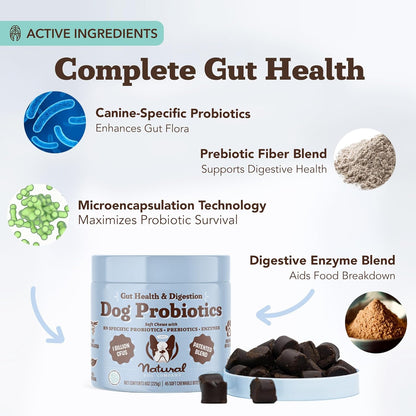 Natural Dog Company Gut Health & Canine Specific Probiotics Chews, 1 Daily Chew for All Dogs, Prebiotics & Digestive Enzymes for Digestion, Gas, Loose Stool, Immune System & Bowel Support