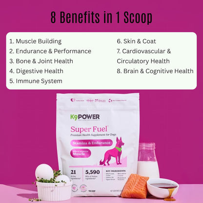 K9 Power Super Fuel for Dogs 1lb - Boosts Energy Levels Supports Muscle Growth & Enhances Joint Health