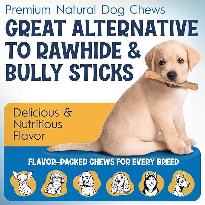 12" Collagen Sticks for Dogs – Low Odor Long-Lasting Bully Stick & Rawhide Alternative, Single Ingredient Beef Bone, High Protein Dental Treat, Vet Approved, Improves Joint Health – 5 Pack