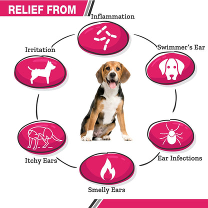 All Natural Ear Flush for Dogs & Cats, Ketoconazole & Chlorhexidine Ear and Vet-Strength Ear wash with a Light Scent (USA) (Ketoconazole & Chlorhexidine Ear Flush, 12 oz)