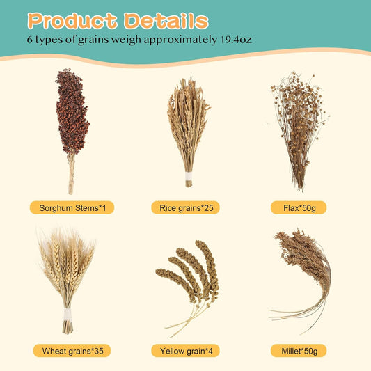 Hamster Spray Set - Natural Snack Grains & Chew Toys for Cage Decoration Accessories, Soft Bedding for Dwarf Syrian Hamsters, Gerbils, Mice & Small Pets