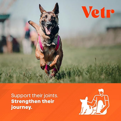 Vetr Hip and Joint Chicken Flavored Chews for Dogs - Glucosamine Chondroitin MSM Supplement - 120 Chewable Tablets - Vet-Formulated in USA