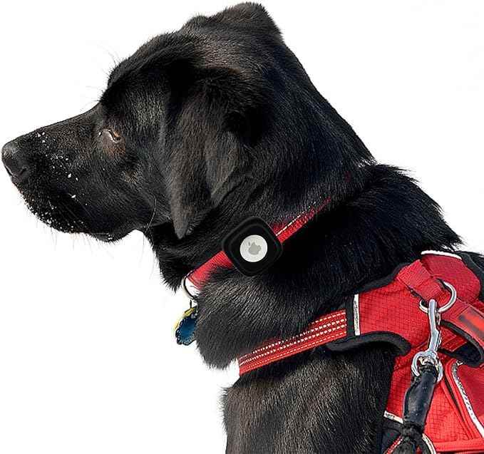 Apple Tag Dog Collar Holder (2 Apricot) for Apple Air Tag Pet Collar Secure & Comfortable for Apple Tag, Durable Tracker Holder Case for Small Dog Collars