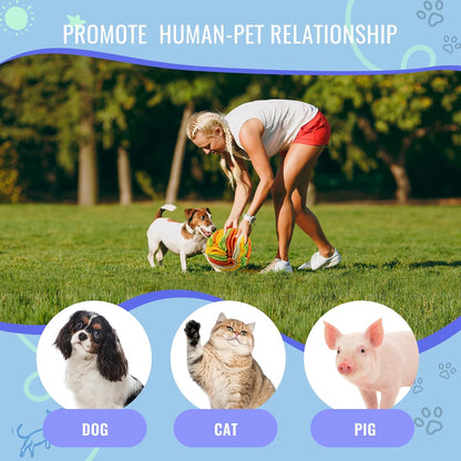 Pet Snuffle Ball, Puzzle Sniffing Interactive Dog Ball for Blind Dogs Training Stress Relief Dog Enrichment Toys Treat Machine Washable (15cm, Tropical Fruit)