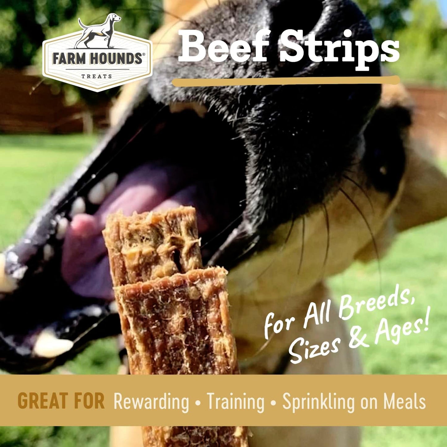 Farm Hounds - Beef Strips - Premium Natural Beef Jerky for Dogs - 100% Humanely Raised Cattle - Break-to-Size - Great for Training & Treats - No Added Fillers - Made in USA - 1 Pack