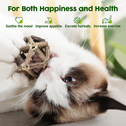 Potaroma Catnip Toys, 3Pcs Cat Toys Natural Silvervine Stick Cage Balls & Bell Ball for Indoor Cats, Kitten Cleaning Teeth Molar Matatabi Cat Chew Toy All Breeds