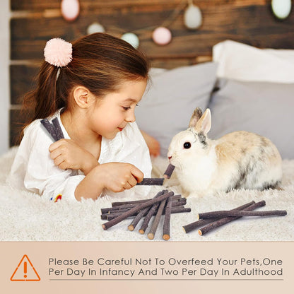 Bissap 120g/4.2oz Apple Sticks for Rabbits, Natural Bunny Chew Toys and Treats for Chinchilla Guinea Pig Hamster Gerbil Small Animals Pet Apple Wood Stick Toys Teeth Grinding