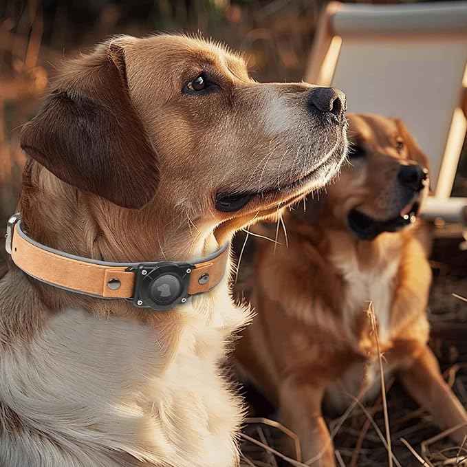 Leather AirTag Dog Collar, Waterproof Dog Collar with Air Tag Holder, Compatible with Apple Air Tag, Reflective, Durable, Comfortable Padded GPS Dogs Collars (Light Brown, XL)