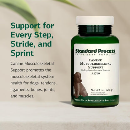 Standard Process Canine Musculoskeletal Support - Bone & Joint Health Formula for Pets - Canine Musculoskeletal Support Supplement - Supplement for Dogs to Aid Joint Comfort & Muscle Health - 120 g