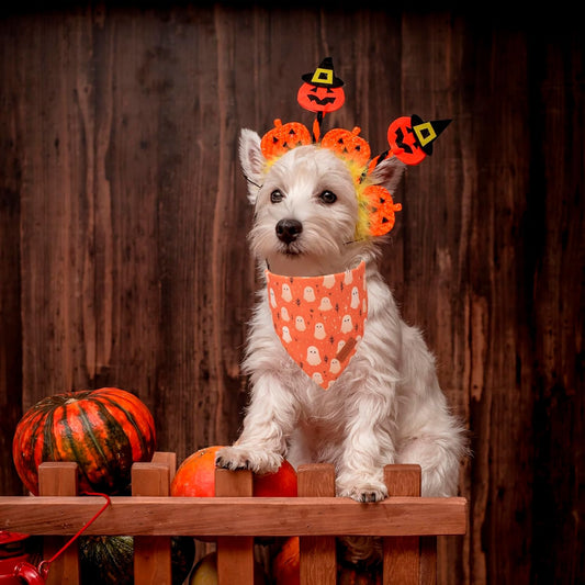 PTDECOR Halloween Dog Bandana, Ghost Pumpkin Design Reversible Holiday Dog Scarf, Triangle Halloween Bandanas for Small Dogs Puppies Cats(Small)