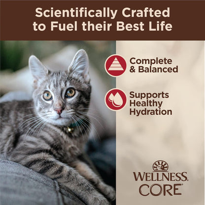 Wellness CORE Tiny Tasters Minced Adult Wet Cat Food, Natural, Protein-Rich, Grain Free, 1.75-Ounce Pouch, 12 Pack, (Chicken & Beef)
