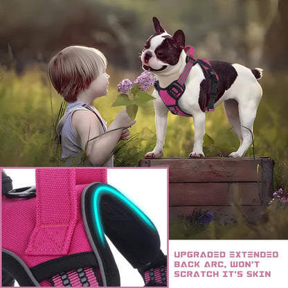 BUMBIN Dog Harness for Large Dogs, No Pull Adjustable No Choke Pet Vest with Dog Leash Fit Smart Reflective Pet Walking Harness for Training Easy Control Soft Handle Rose Red L