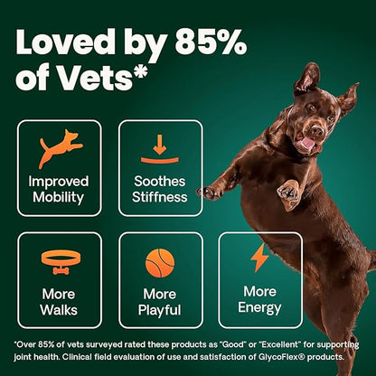 VetriScience Extra Strength Healthy Hip & Joint Chews, GlycoFlex Glucosamine and Green-Lipped Mussel Joint Support Supplement for Dogs, Promote Mobility & Soothe Joint Discomfort, Chicken, 60 Count