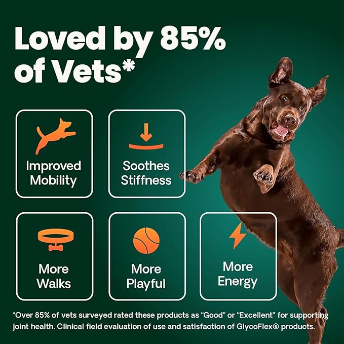 VetriScience Extra Strength Hip & Joint Supplement for Dogs, GlycoFlex 3 – Vet Formulated Glucosamine, MSM & Green-Lipped Mussel Chews for Mobility, Flexibility & Joint Support, Chicken Flavor, 120ct