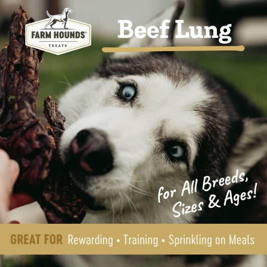 Farm Hounds - Beef Lung - Premium Natural Beef Lung Jerky for Dogs - Made from 100% Humanely Raised Cattle - Organ Treat - Great for Training & Treats - No Added Fillers - Made in USA - 2 oz - 1 Pack