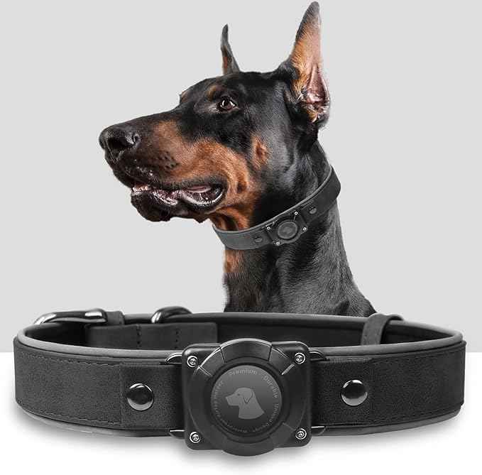 Leather AirTag Dog Collar, Waterproof Dog Collar with Air Tag Holder, Compatible with Apple Air Tag, Reflective, Durable, Comfortable Padded GPS Dogs Collars (Black, L)