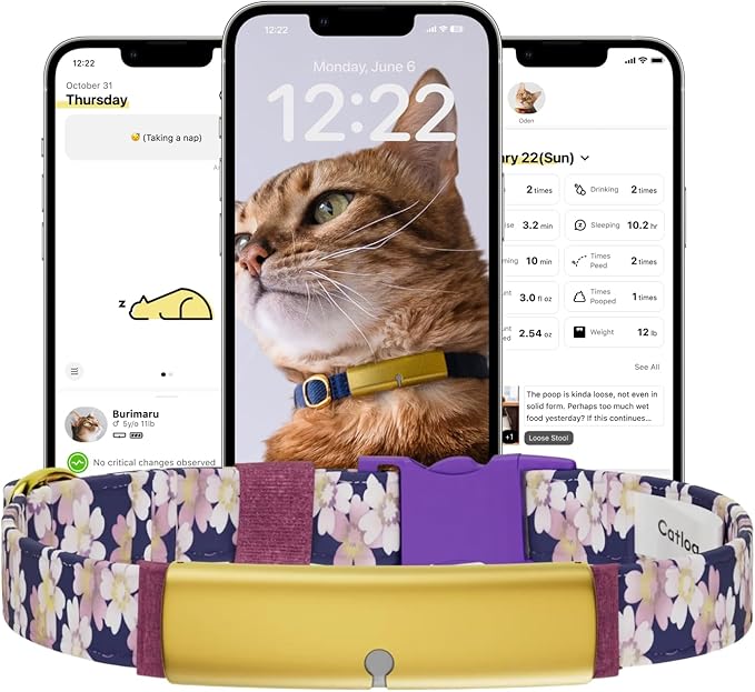 Health Tracker for Cats - Smart Cat Collar with Safety Breakaway Buckle for Indoor Cats, Wellness Alerts, Real-time Monitoring (Kimono (Sakura -Night-),S)